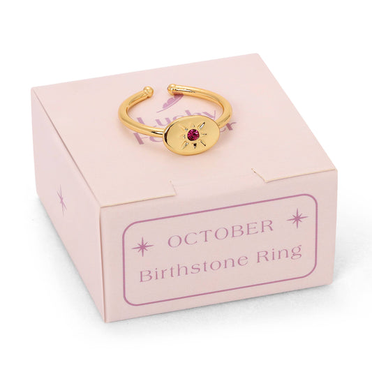 Birthstone Signet Ring | October - Tourmaline