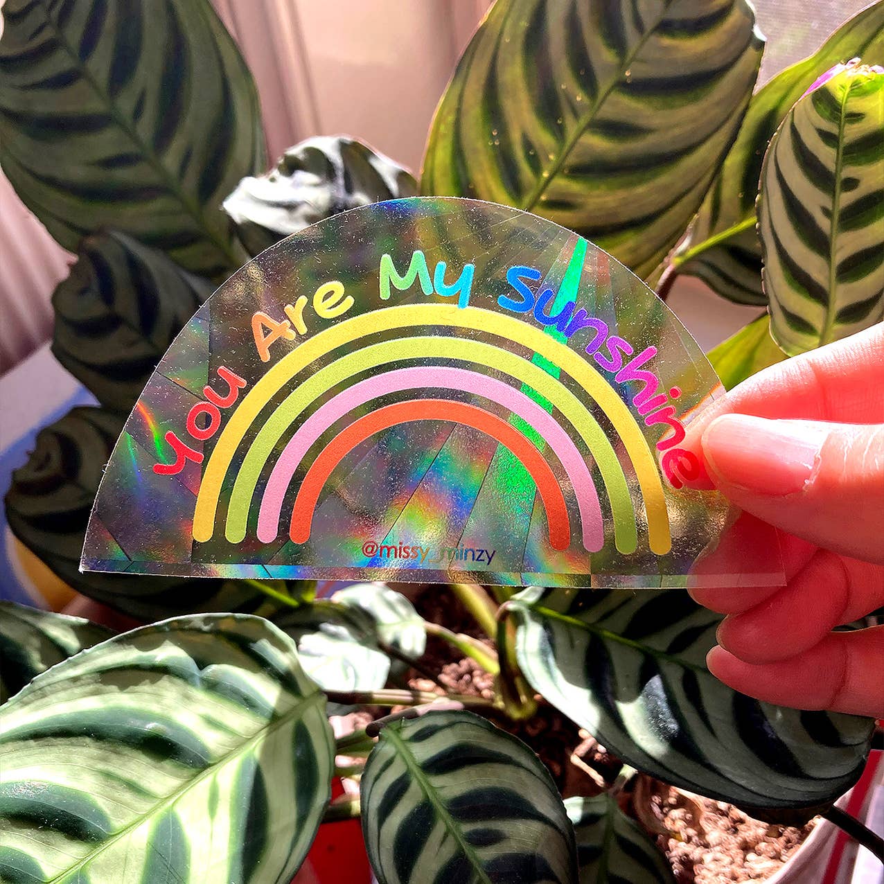 You Are My Sunshine | Rainbow Suncatcher