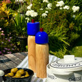 Salt & Pepper Grinder | Navy & Red