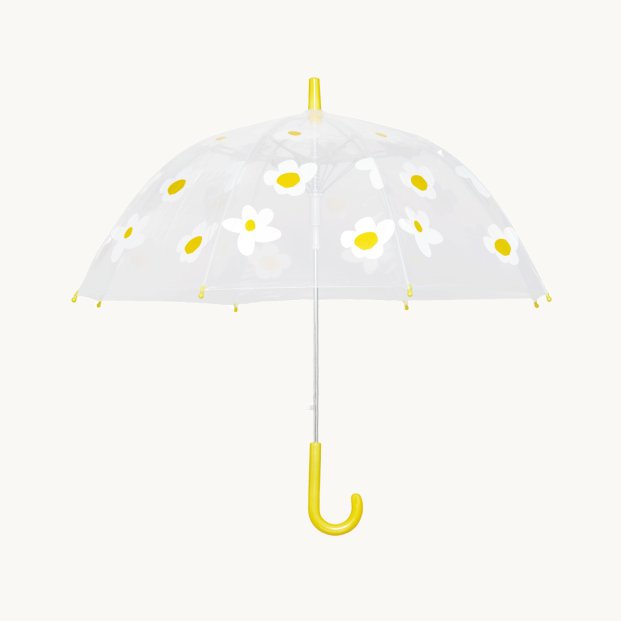 Clear Umbrella  White Flowers