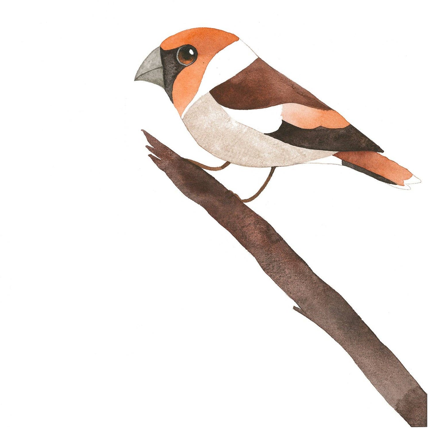 Beanie | Merino Wool