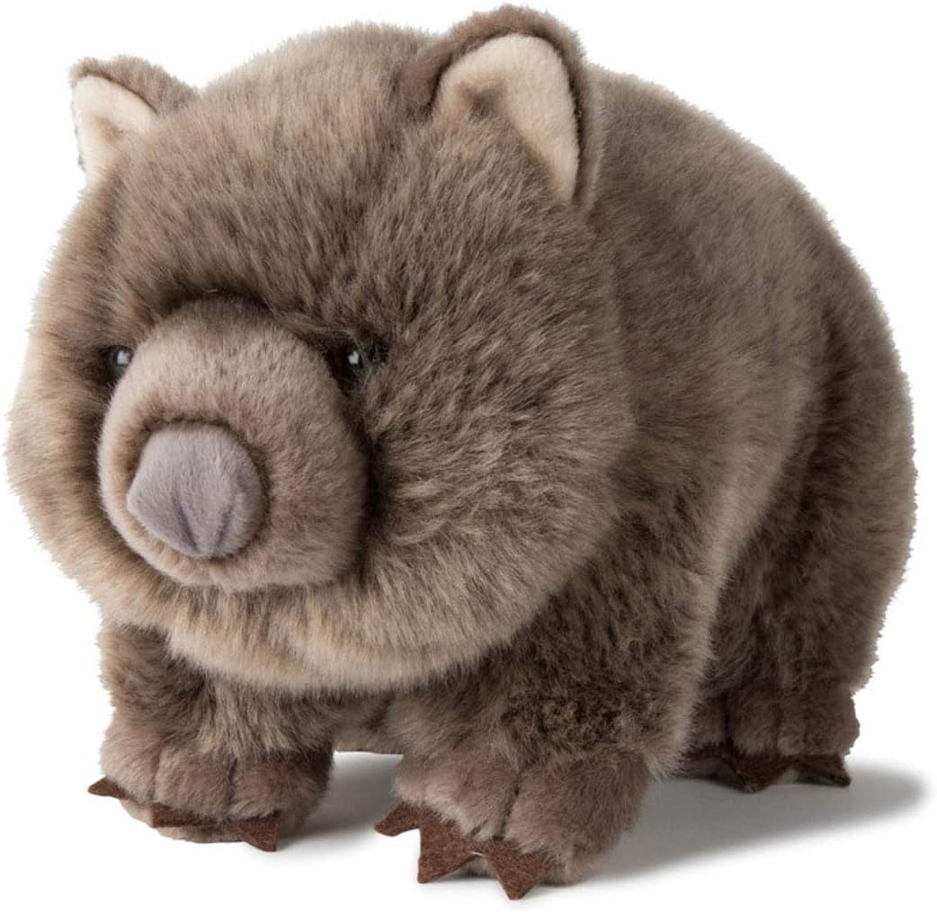 Wombat Plush Toy