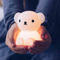 Bundle of Light - Miffy and Friends Lamp | Various Characters