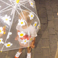 Clear Umbrella  White Flowers