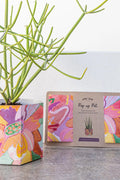 Pop Up Pot | 'Bloom' | Medium