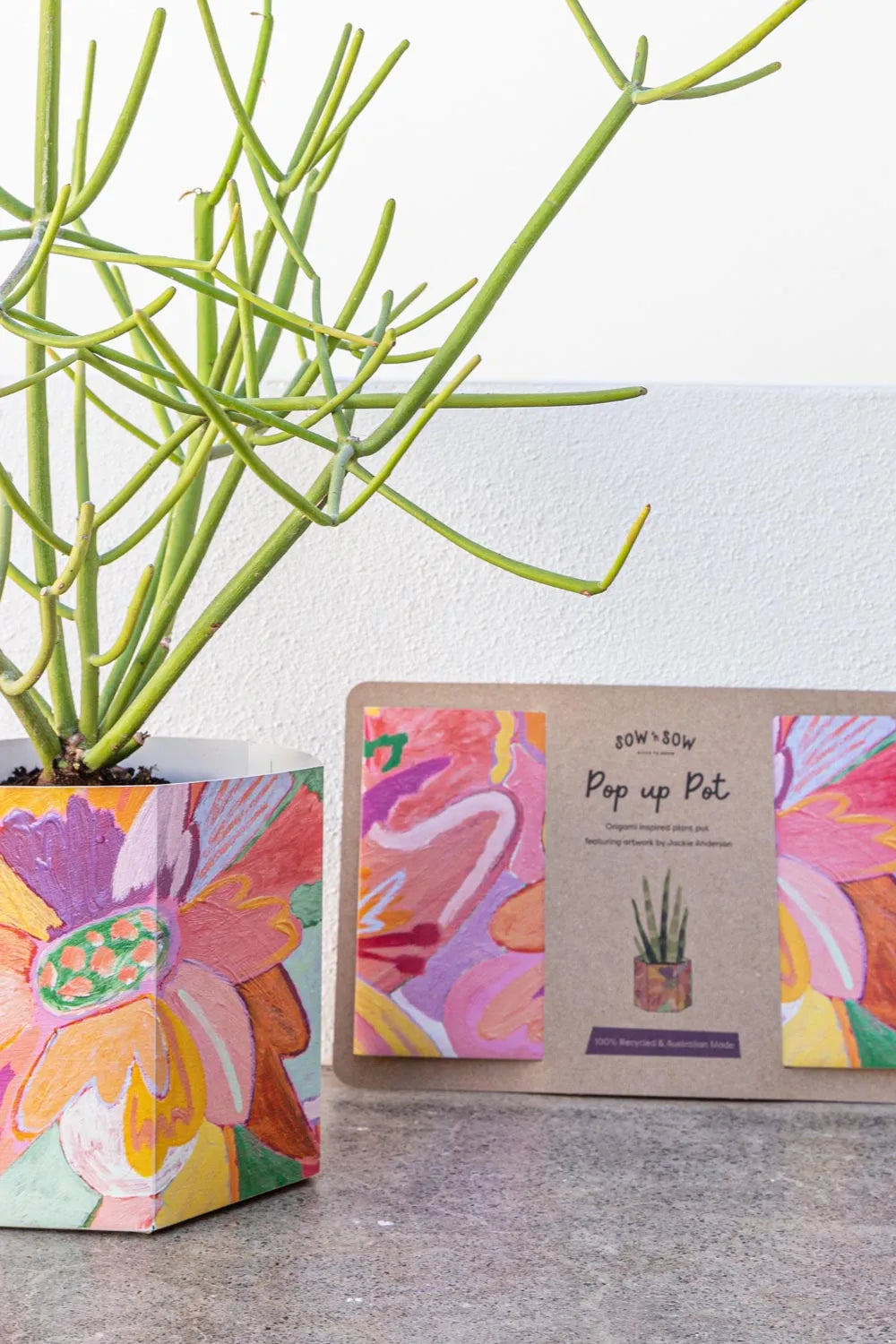 Pop Up Pot | 'Bloom' | Medium