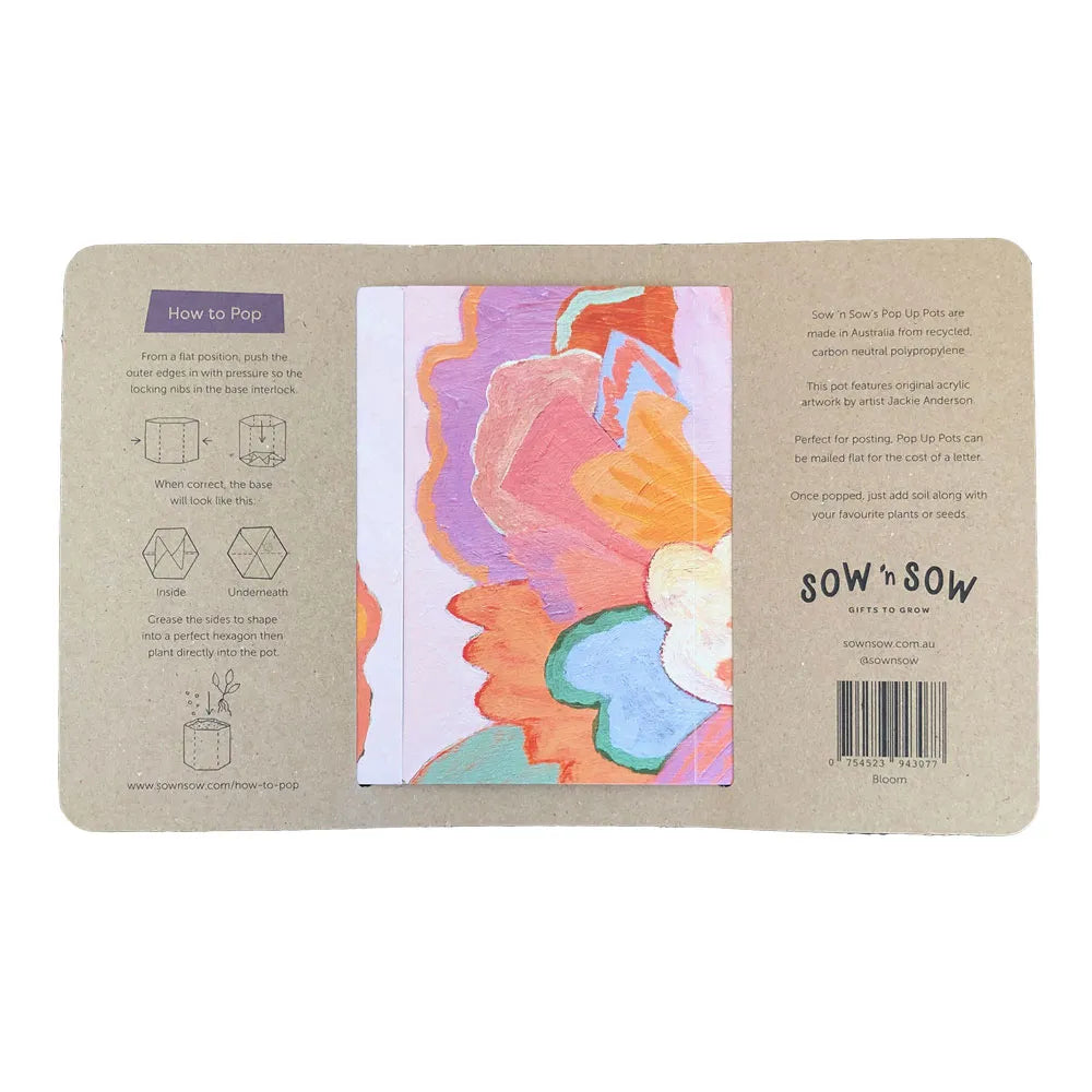 Pop Up Pot | 'Bloom' | Medium