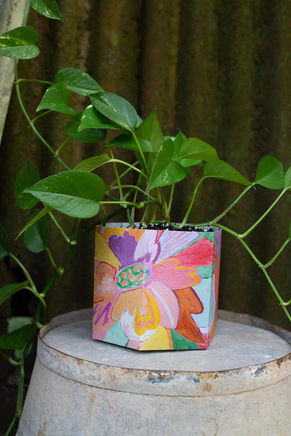 Pop Up Pot | 'Bloom' | Medium