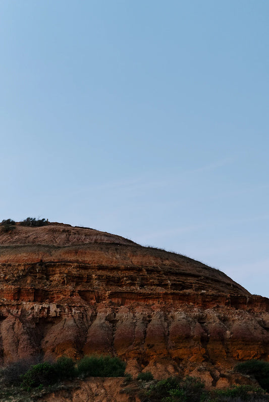 Larapinta // Sandalwood & Pepperberry Eco Reed Diffuser | 200ml