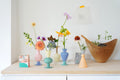 Mini Vases Two Tones | Variant Colours