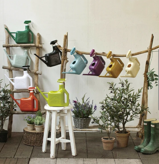 Watering Can | Various Colours