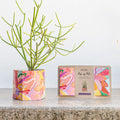 Pop Up Pot | 'Bloom' | Medium