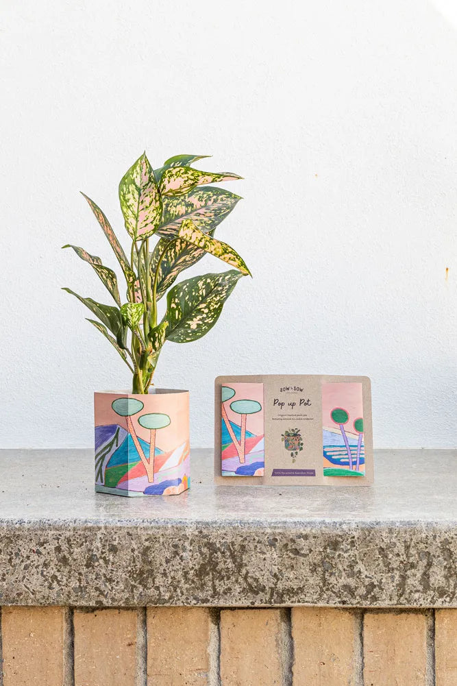 Pop Up Pot | 'Yonder' | Small