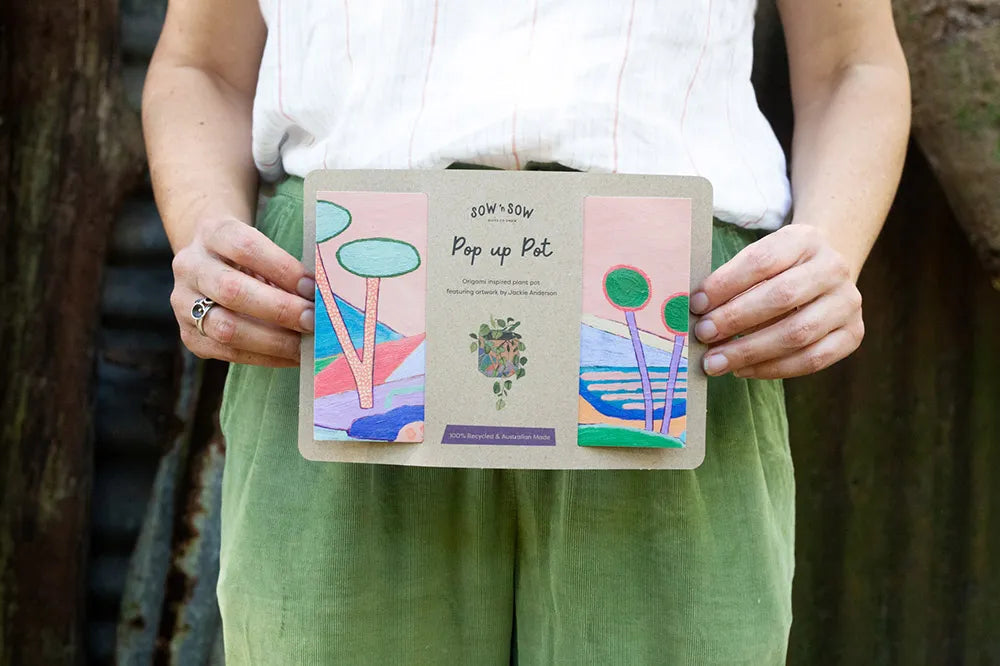 Pop Up Pot | 'Yonder' | Small