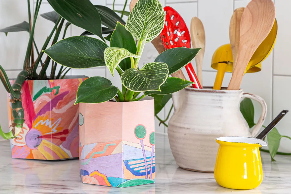 Pop Up Pot | 'Yonder' | Small