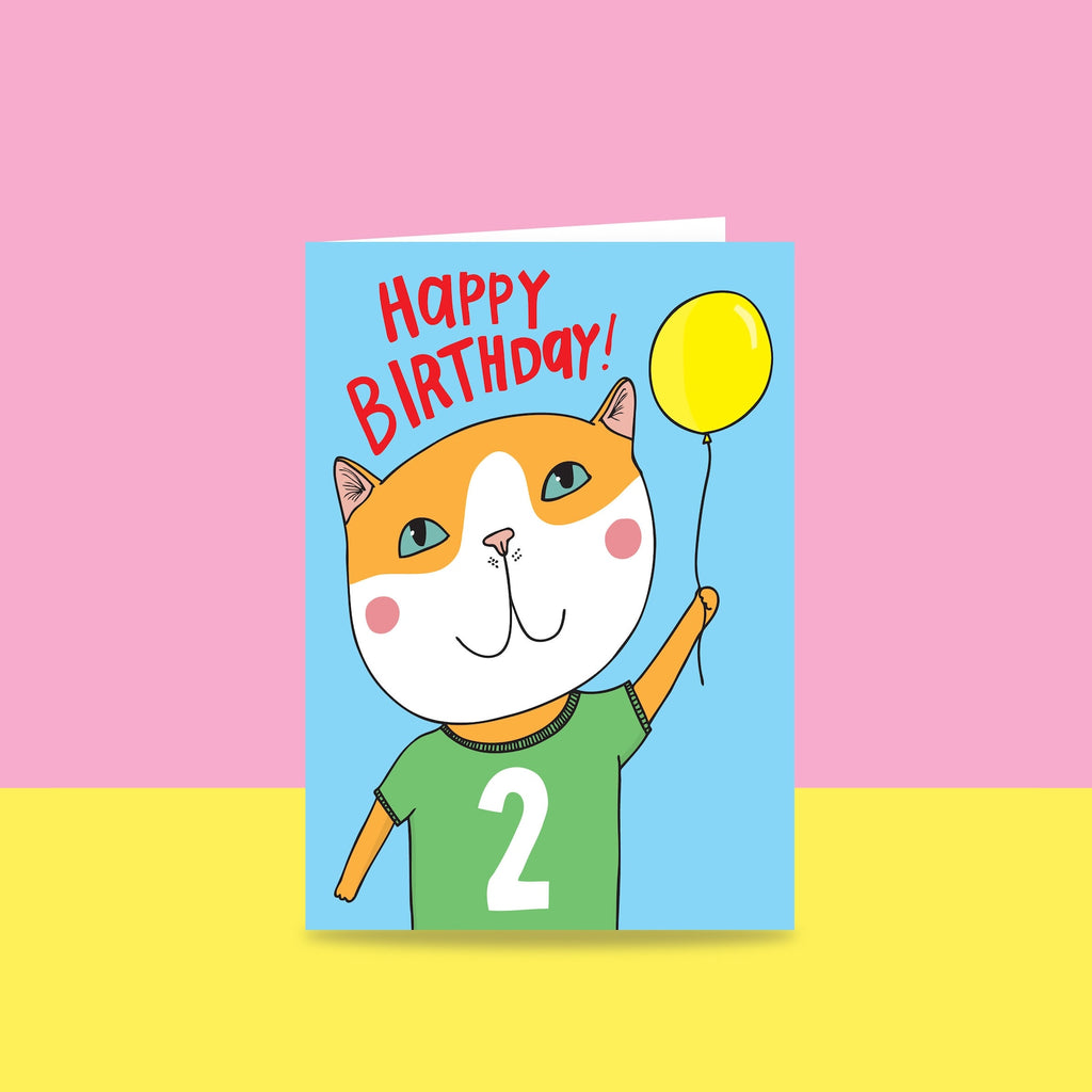Cat 2nd Birthday
