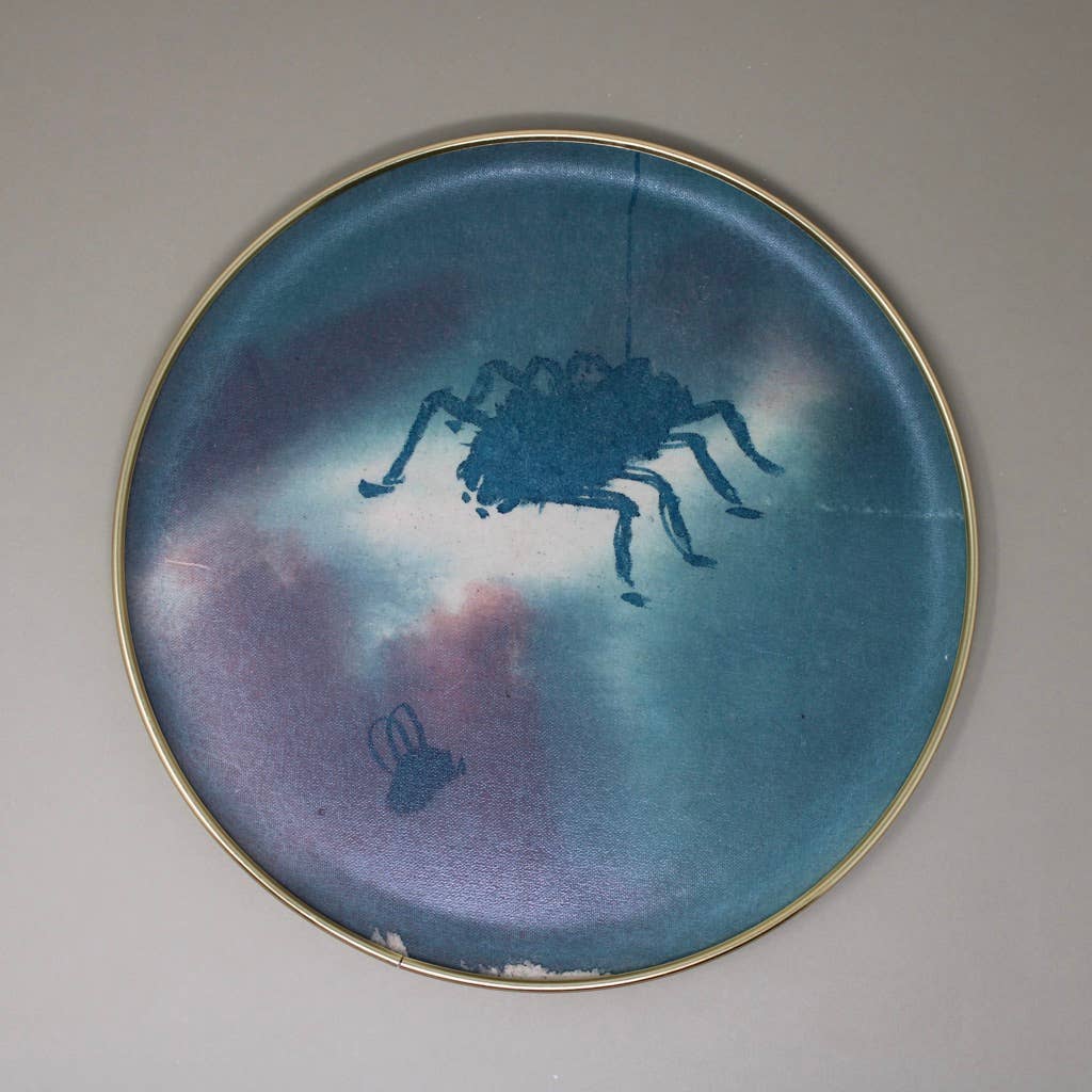 Hand Painted Studio Tray | Spider- A45