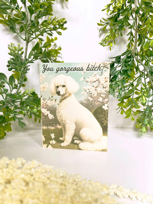 You Gorgeous Bitch | Greeting Card