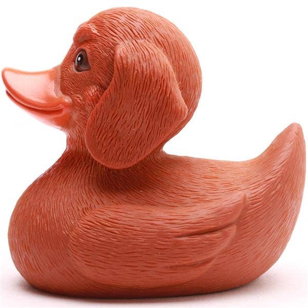 Rubber Duck | Dachshund