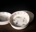 Cherry Blossom Wild | Swimming Bowl