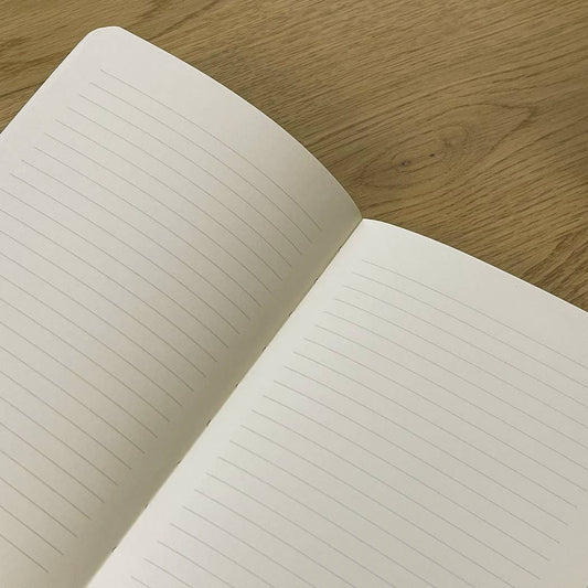 Ledger of Perceived Slights | Journal Medium
