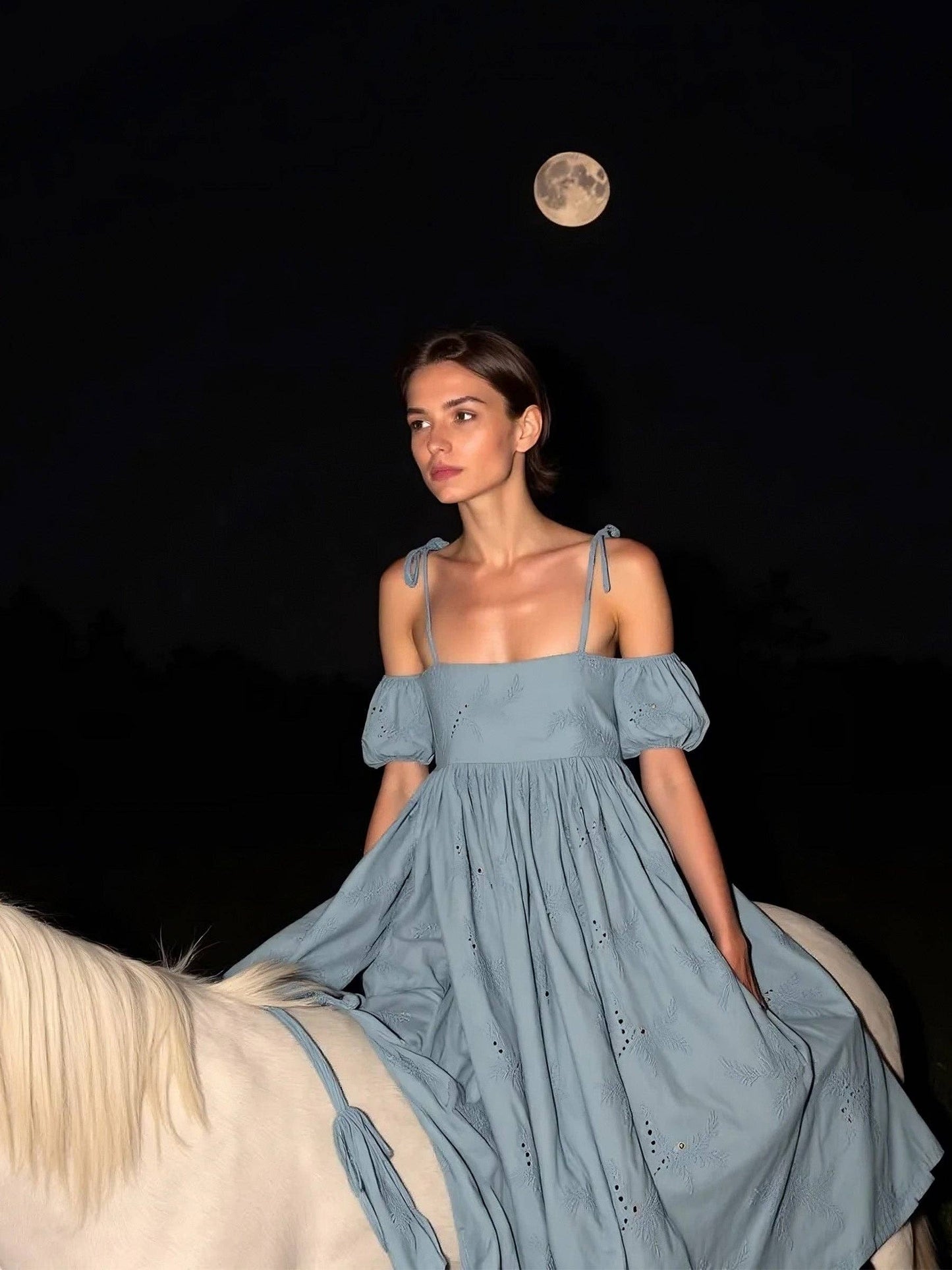 Vera Embroidered Blue Maxi Dress