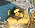 Napoleon Chilly Bin | Lemon Yellow