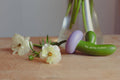 Flower Stress Ball