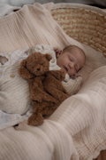 Comforter Toy | Little Ted Bear