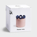 Sway Planter | Pink