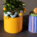Sway Planter | Orange