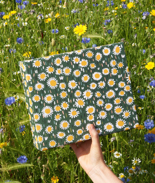 'Daisies' Gift Wrap | 1 Sheet