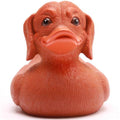 Rubber Duck | Dachshund