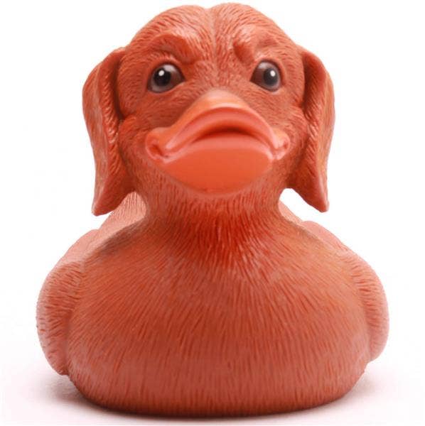 Rubber Duck | Dachshund