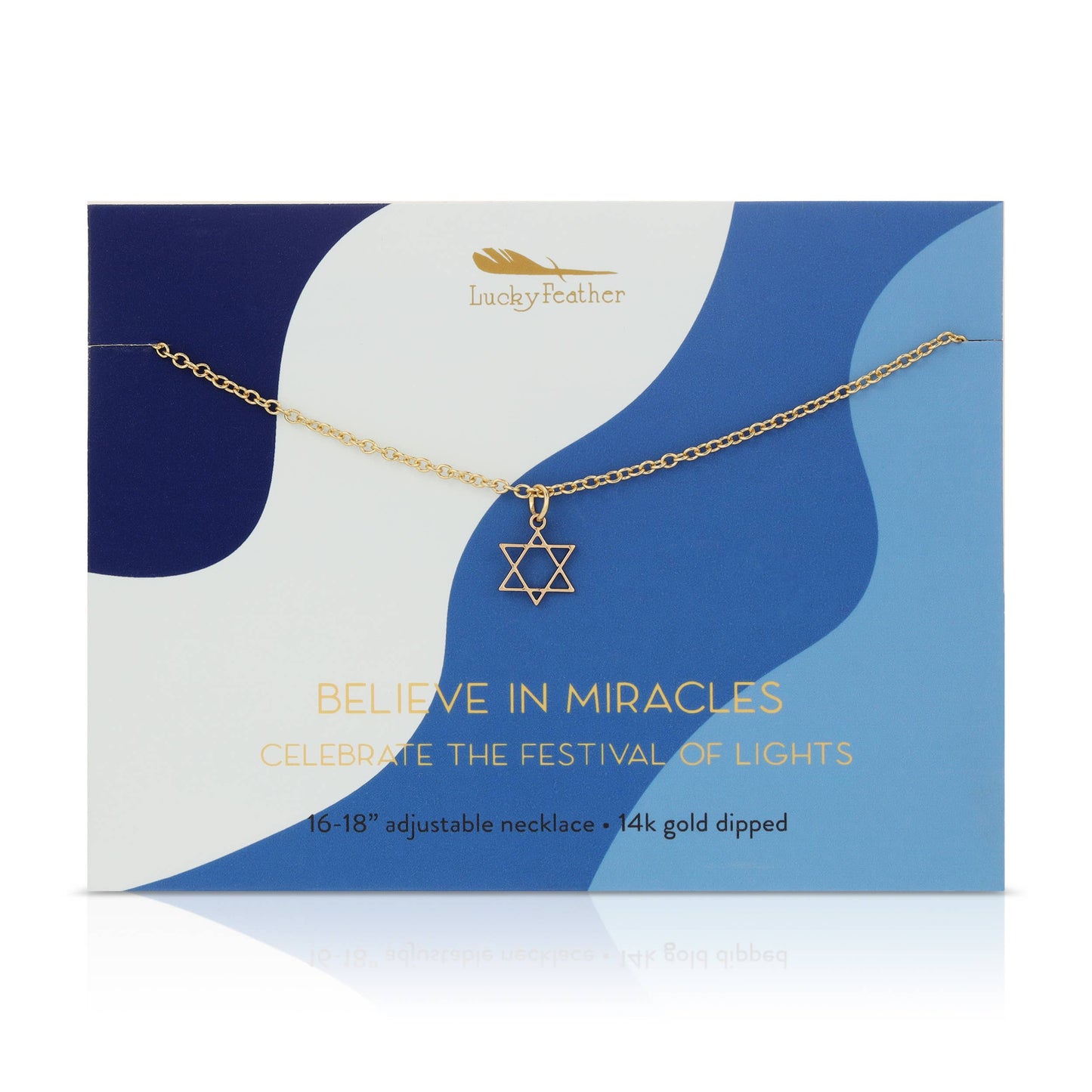 Hanukkah Necklace | Star of David