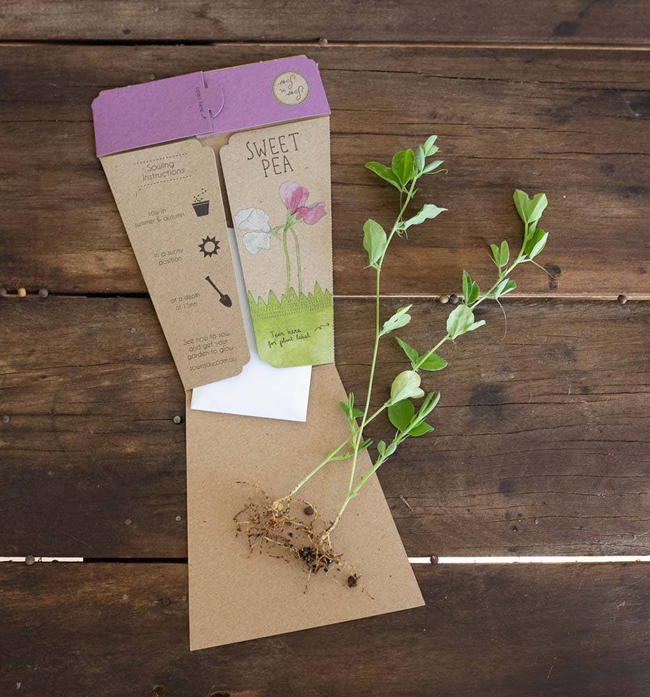 Sweet Pea | Gift of Seeds
