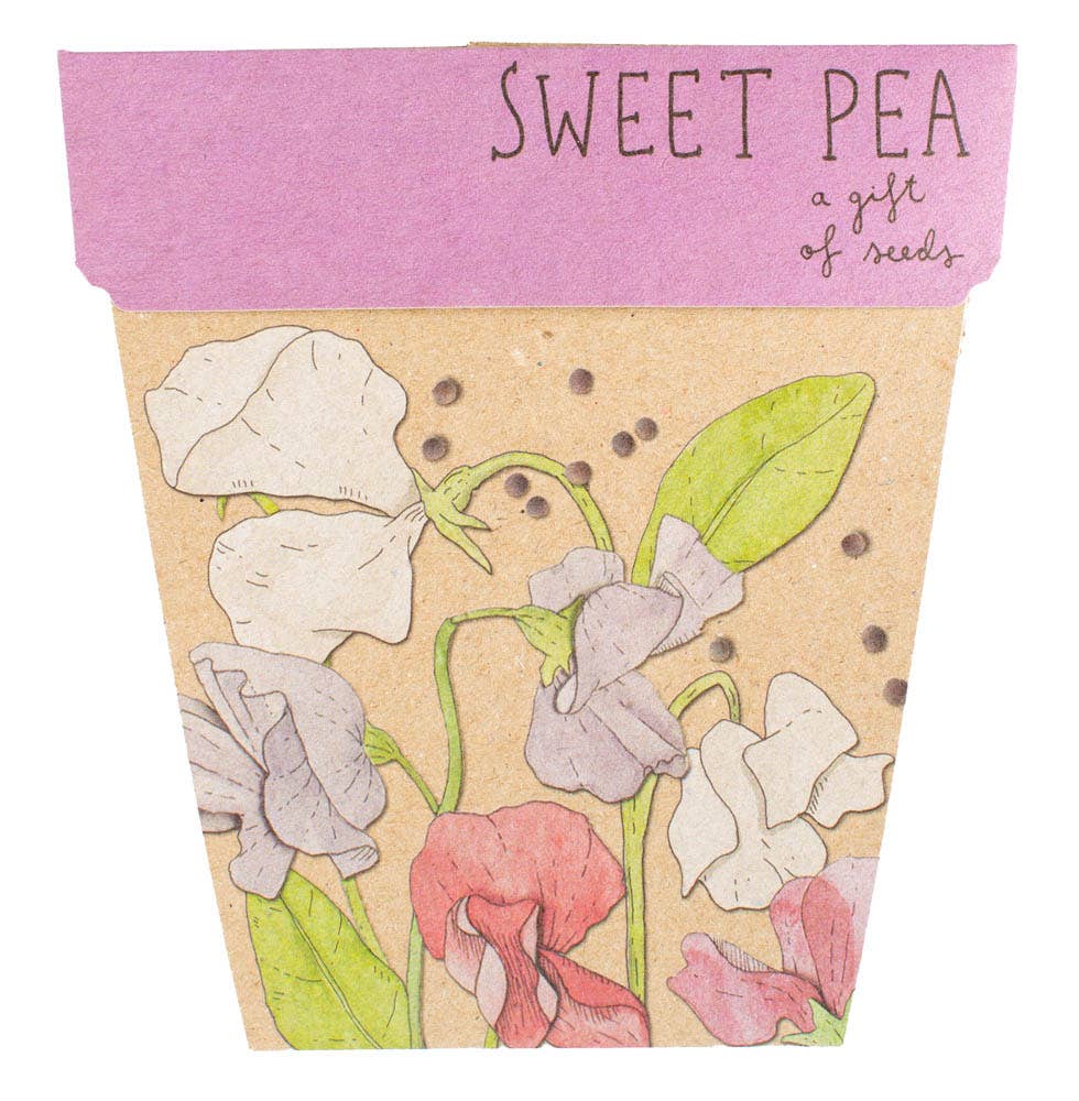 Sweet Pea | Gift of Seeds