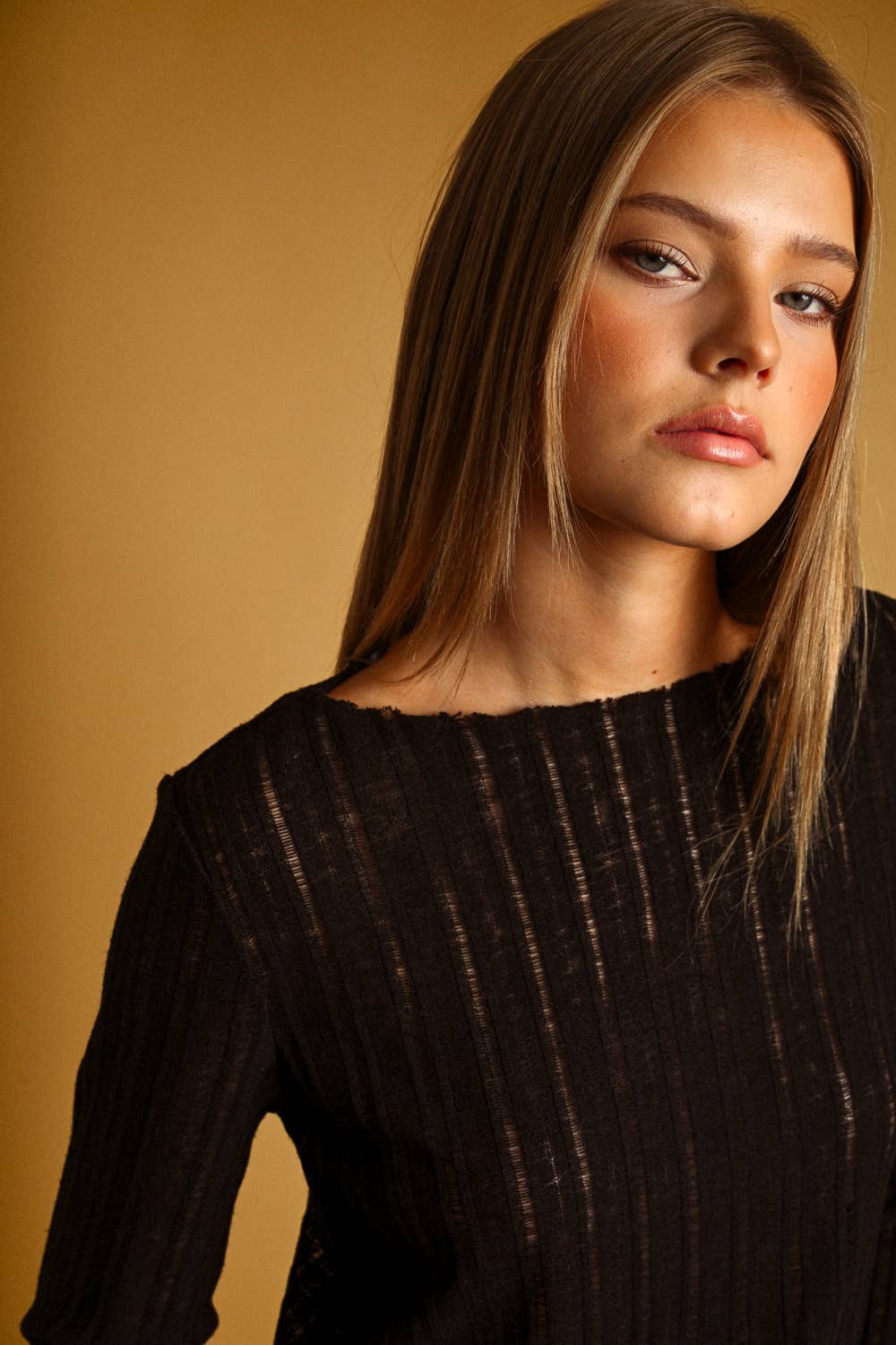 Sheer Stripe Long Sleeve Knit Top | Black