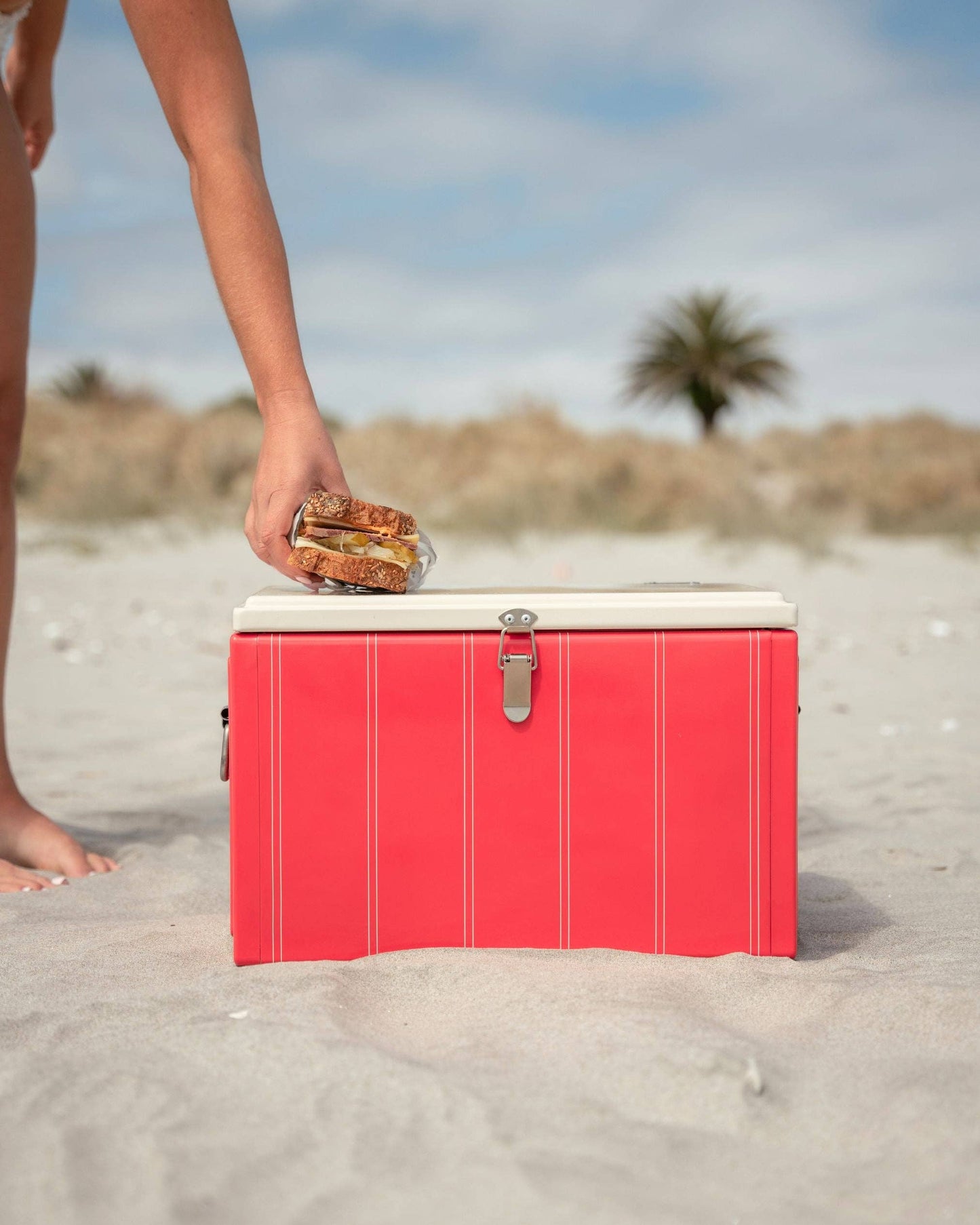 Napoleon Chilly Bin | Cherry Twin Stripe