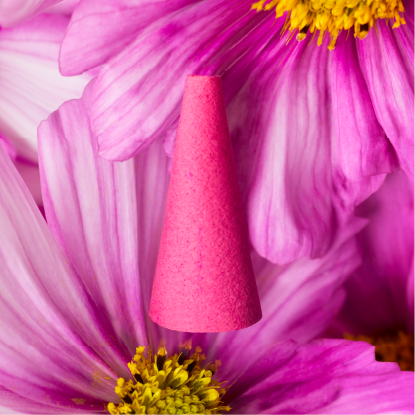 Houseplant by ripple+ | Ash & Scent Incense Set