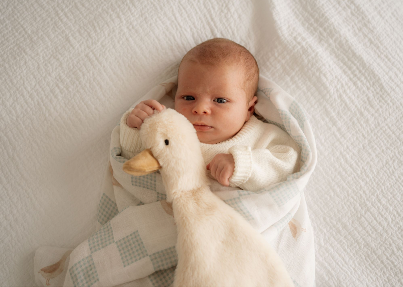 Comforter Toy | Waddles the Goose