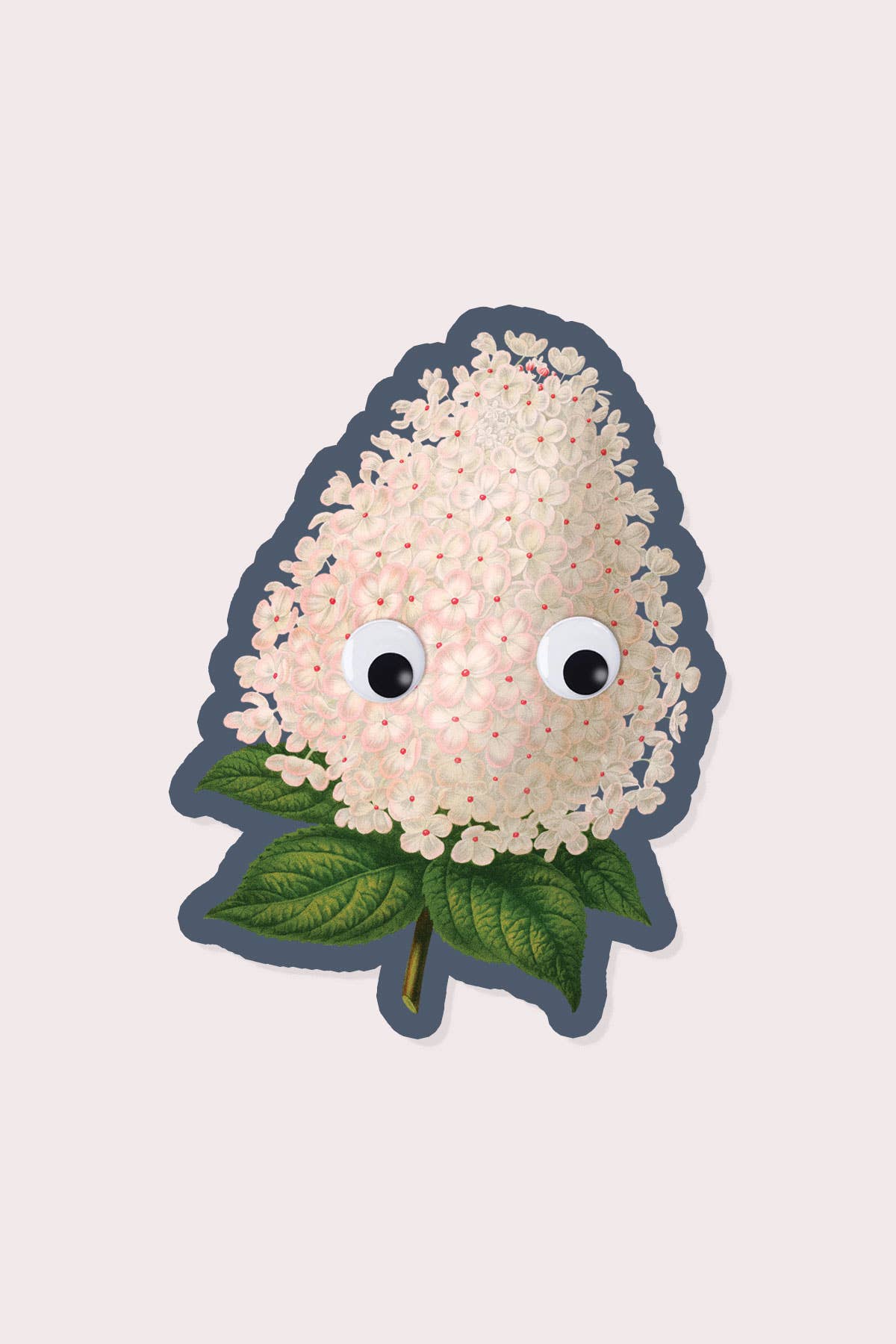 Vinyl Sticker | Googly Hydrangea