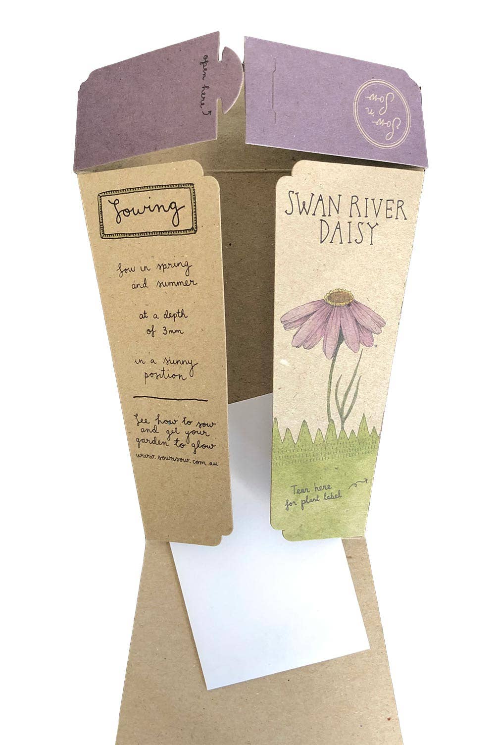 Swan River Daisy | Gift of Seeds