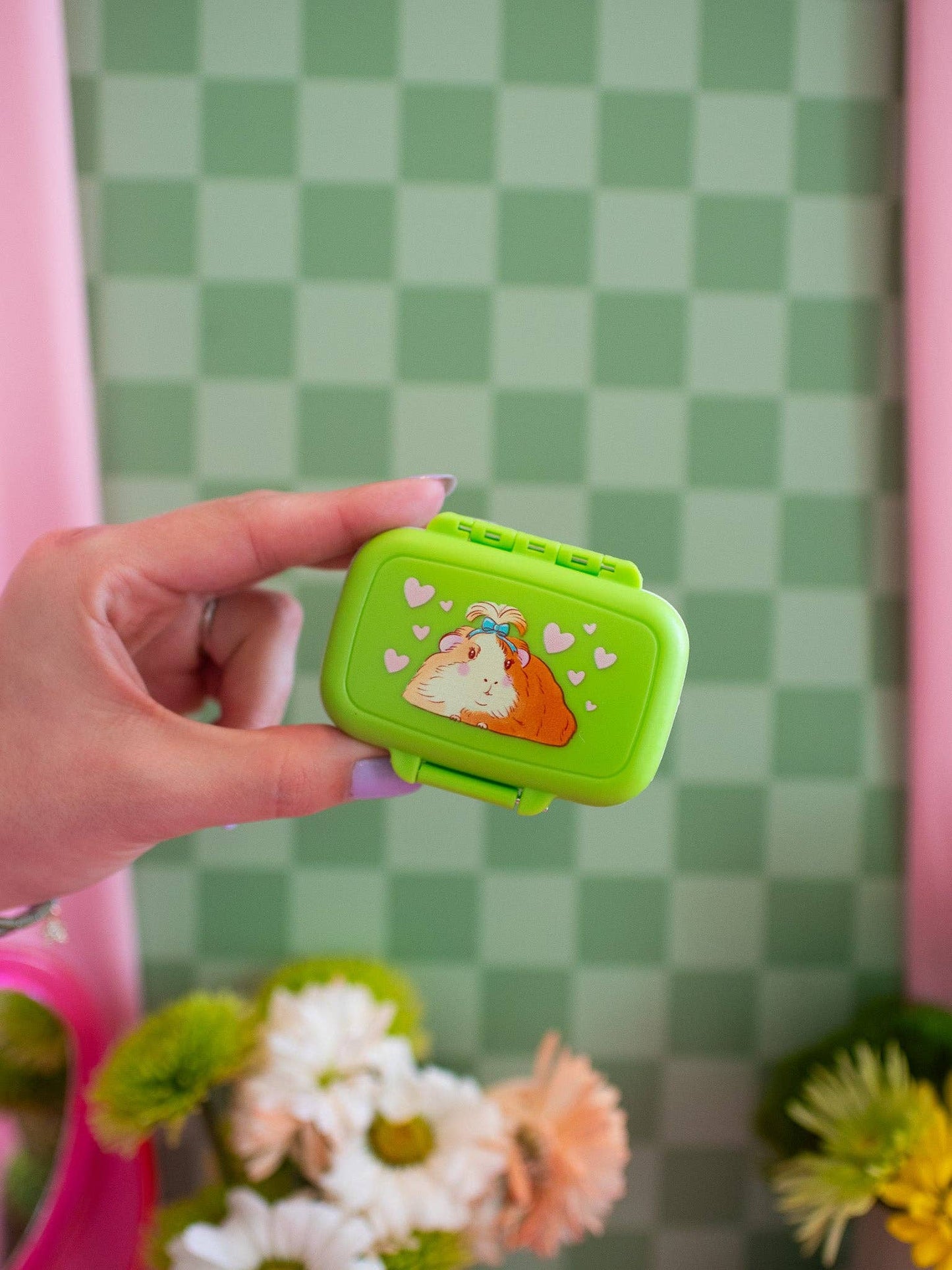Guinea Pig Pill Case