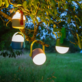 LED Ole Lamp | Lilac