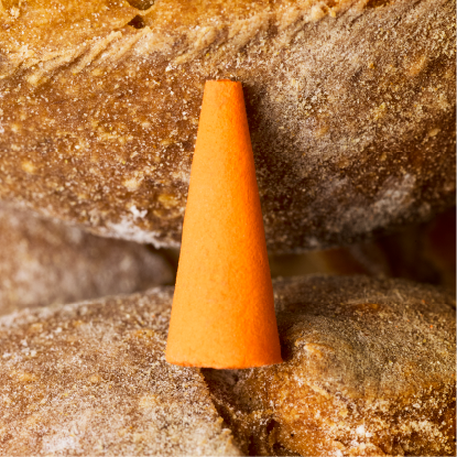 Houseplant by ripple+ | Ash & Scent Incense Set