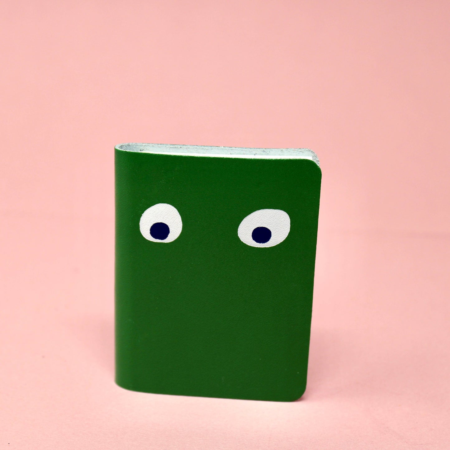 Googly Eye Mini Leather Notebook | various colours