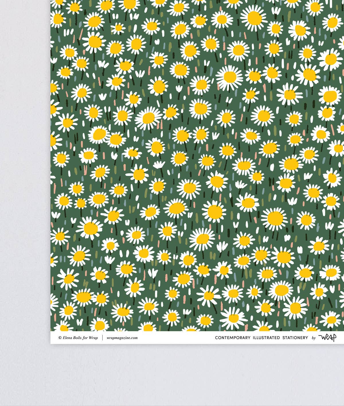 'Daisies' Gift Wrap | 1 Sheet