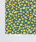 'Daisies' Gift Wrap | 1 Sheet