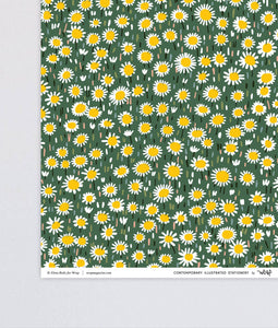 'Daisies' Gift Wrap | 1 Sheet